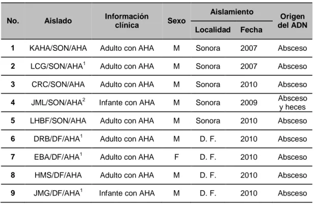 Tabla 3. Información general de las muestras analizadas. 