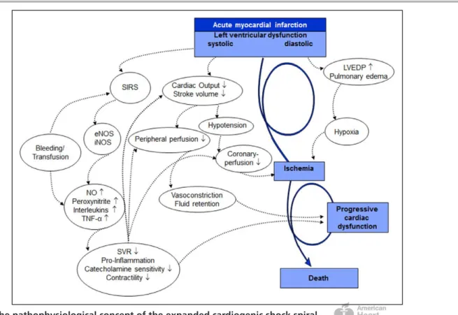 Figure 1.  The pathophysiological concept of the expanded cardiogenic shock spiral.  