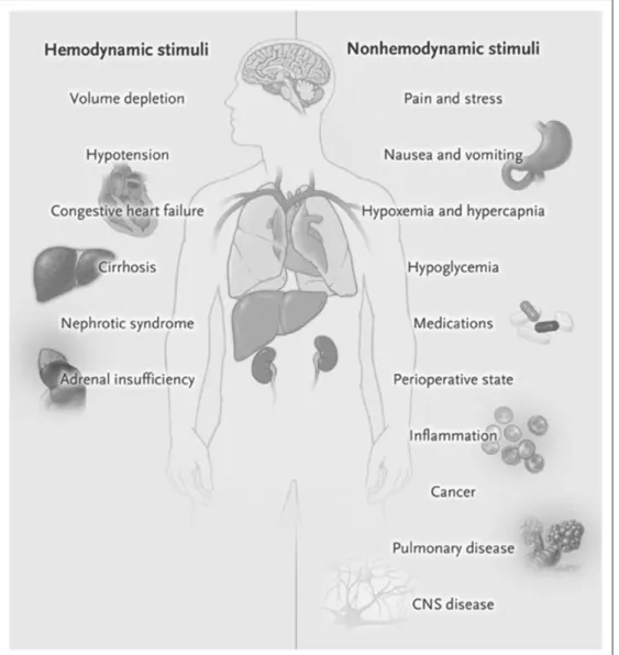 Figure 3. Nonosmotic and osmotic causes of hyponatremia in the ICU. Used with permission from Moritz and 