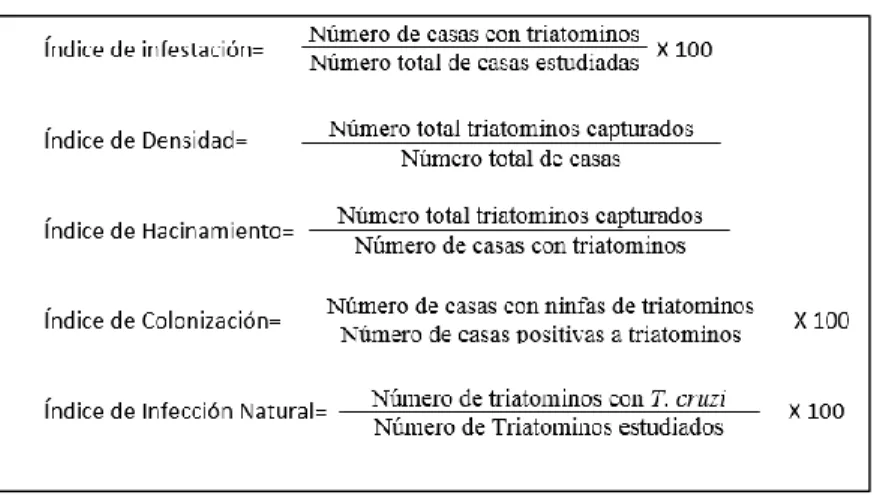 Tabla 1. Índices entomológicos para medir riesgo de presencia vectorial e infección natural