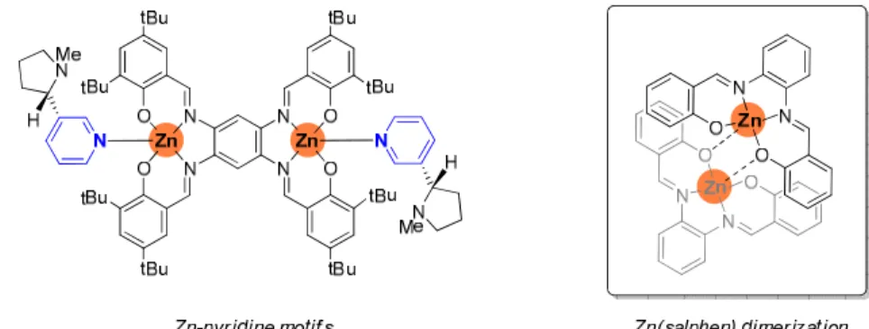 Figure 1. Possible self-assembly modes of Zn(salphen) complexes; pyridine-Zn coordination motifs (left) and  Zn(salphen) dimerization (right)