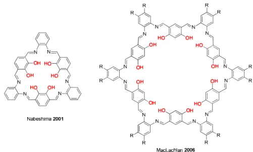 Figure 5. Macrocyclic systems comprising multi-salphen ligands scaffolds. 