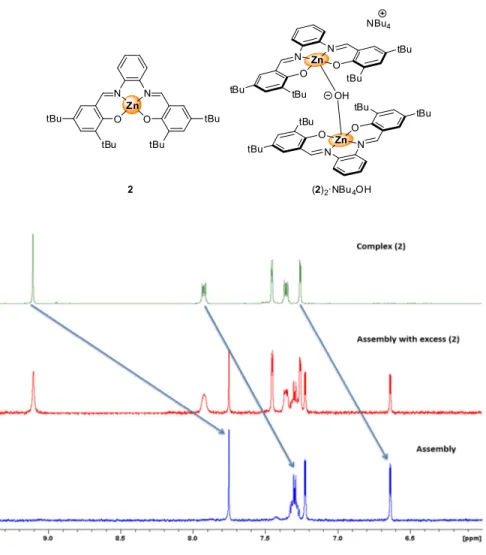 Figure 4.  1 H NMR comparison with assembly (2) 2 ·NBu 4 OH (acetone-d 6 ): in green complex (2); in red assembly  (2) 2 ·NBu 4 OH with 3 equiv of free (2); in blue pure assembly (2) 2 ·NBu 4 OH.