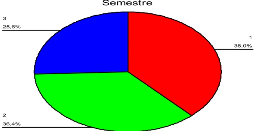 Gráfico 2. Distribución en porcentajes de la muestra evaluada según semestre. 