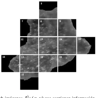 Figura 15. Sub-imágenes  c ( , )