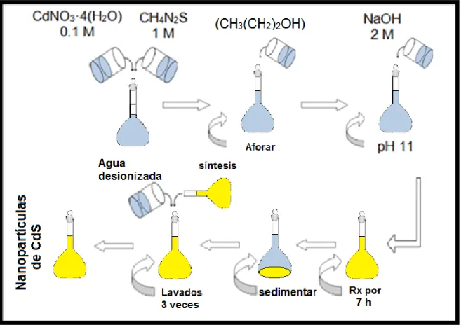 Figura 4. Síntesis orgánica CdS. 