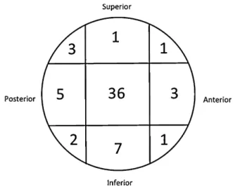 Fig. 6. The method of measuring the cement distribution around the blade in the AP view whereas a means the superior, b the central and c the inferior fraction of the cement.