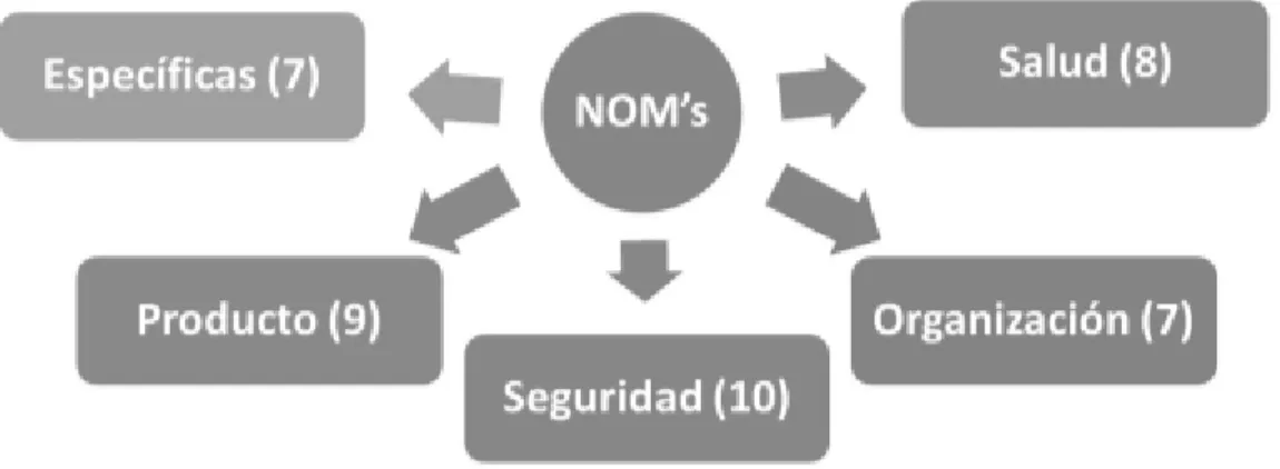 Figura 2.8. División de las normas 