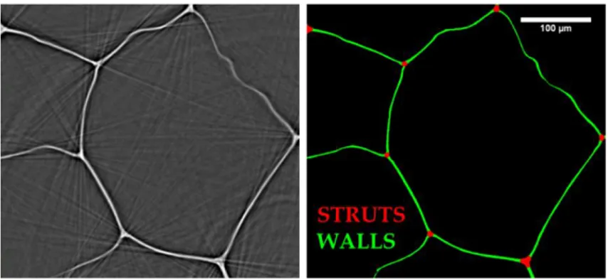 Figure  2-14.  Tomographic  slice  –left-  and  separation  in  walls  and  struts  –right-  of  a  typical  LDPE foam with f s  0.3