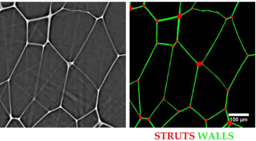 Figure 2-15. Tomographic slice –left- and separation in walls and struts –right- of PS foam with  f s  0.15.