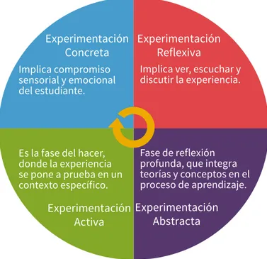 Figura  1. Modelo de Kolb: Aprendizaje a través de la Experiencia.
