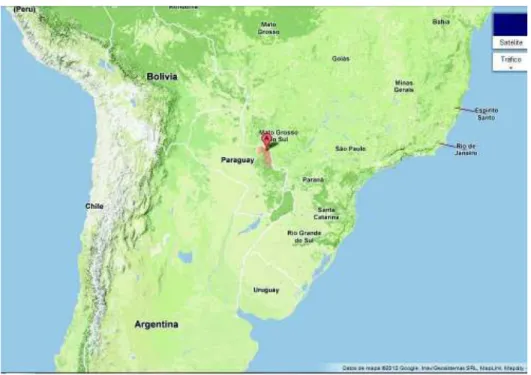 Figura 1. Origen de la planta Stevia rebaudiana Mapa del Departamento de Amambay,                  Paraguay 