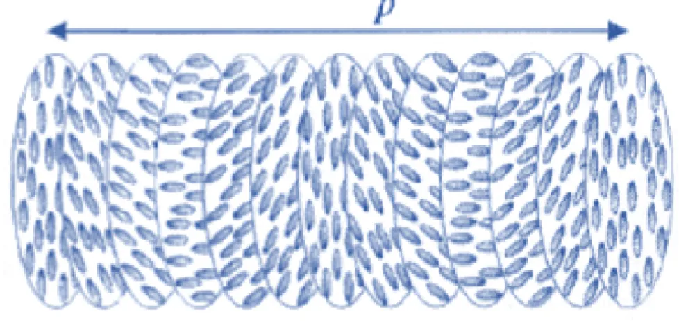 Figura 1.4: Diagrama esquemático de un colestérico. El director ˆ n cambia y tras un período espacial L = 2 p vuelve al inicio (teniendo en cuenta que ˆ n y − ˆn son indistinguibles).