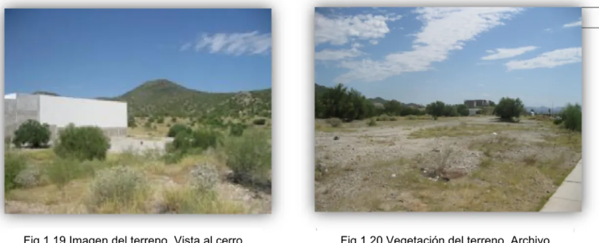 Fig. 1.15 Topografía del cerro Bachoco.