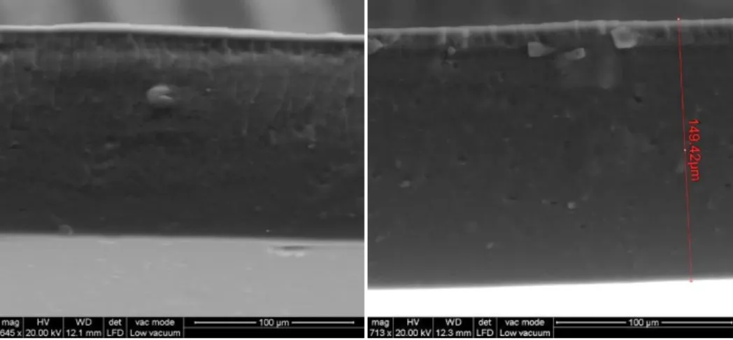 Figure 4.1 On the left a cross section of a M8630 film; on the right a cross section of a  M8630 blended with G-Polymer, with a composition 70 % in wt