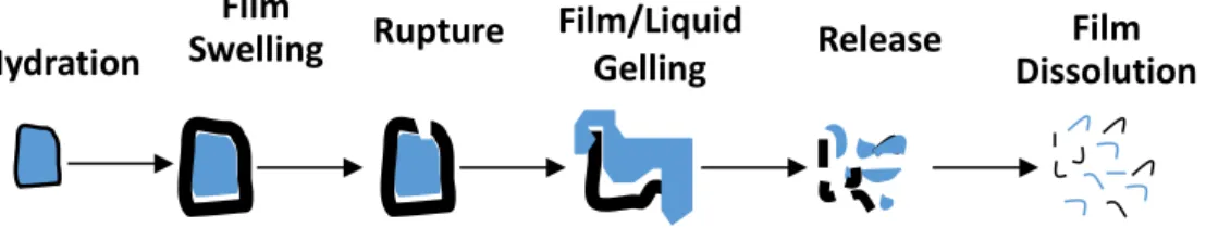 Figure 1.6  Pouch dissolution scheme in a laundry machine 