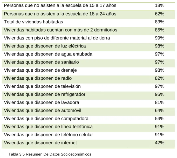 Tabla 3.5 Resumen De Datos Socioeconómicos 