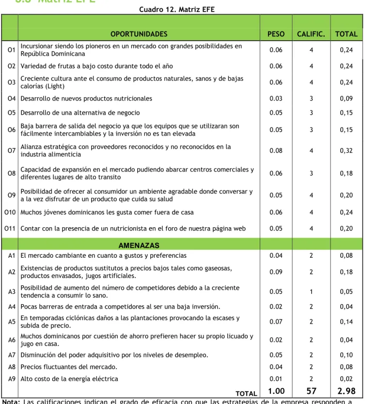 Cuadro 12. Matriz EFE   