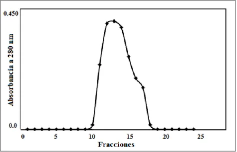 Figura 7. Barrido espectral de pool de fracciones con proteína obtenido a partir de Sephadex  G-25