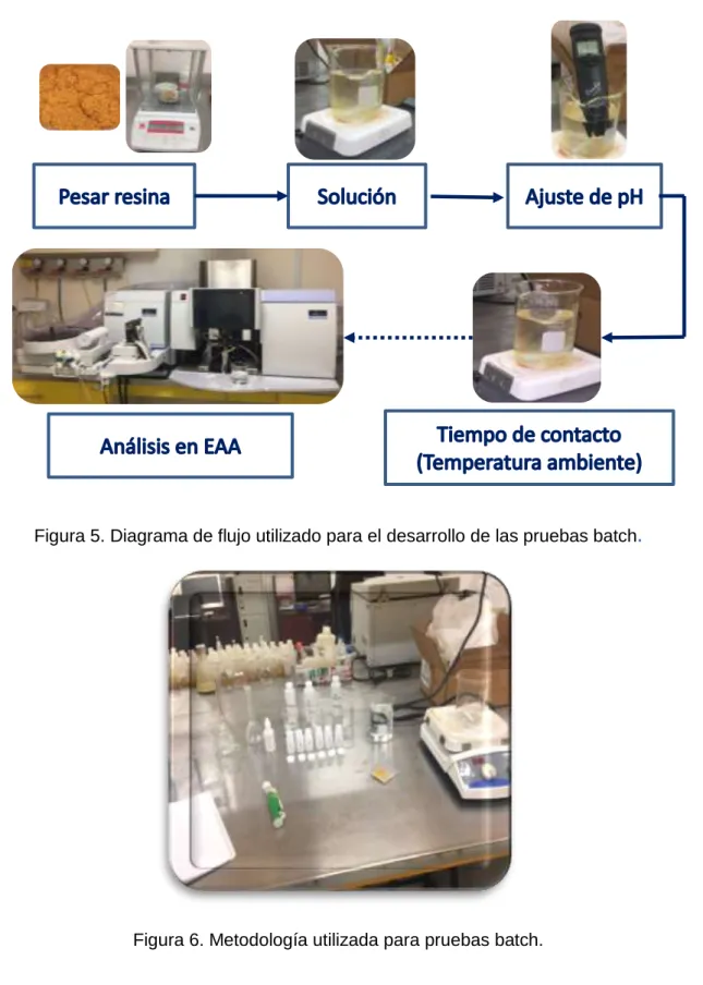 Figura 5. Diagrama de flujo utilizado para el desarrollo de las pruebas batch. 