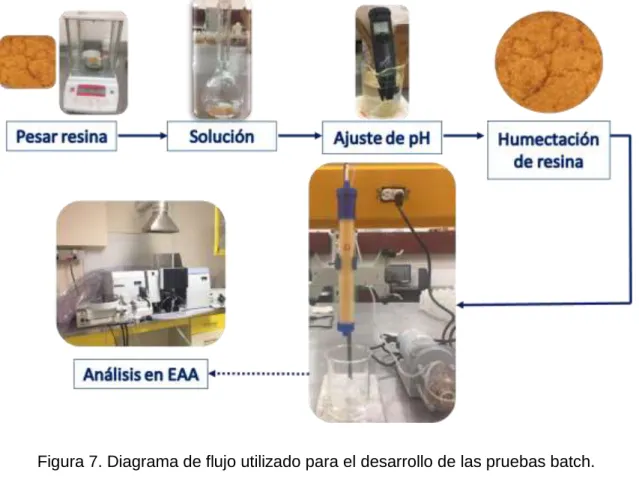 Figura 7. Diagrama de flujo utilizado para el desarrollo de las pruebas batch. 