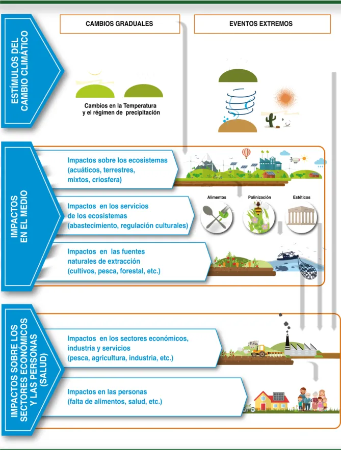 Figura 7.  Efectos en cascada del cambio climático. 