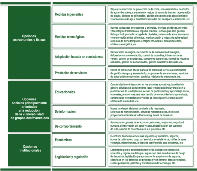 Tabla 6.   Clasificación de las opciones de adaptación.