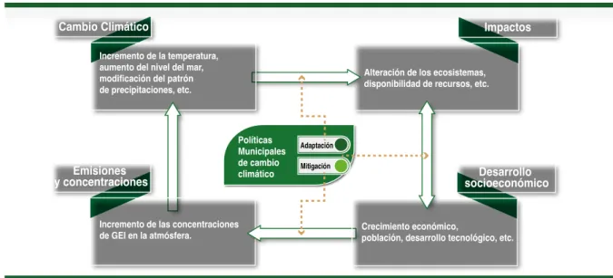 Figura 19.  Relaciones entre las políticas de mitigación y adaptación.