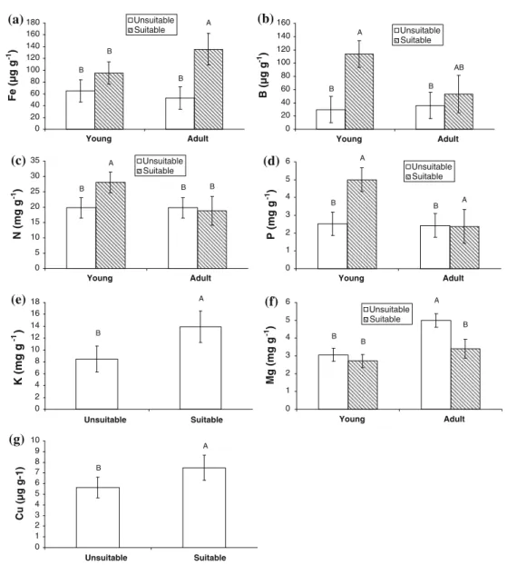 Fig. 3 Mean values (±95 confidence intervals) of foliar nutrient concentrations a Fe (lg g - 1 ), b B (lg g - 1 ), c N (mg g - 1 ), d P (mg g -1 ), e K (mg g -1 ), f Mg (mg g -1 ) and g Cu (lg g -1 ) according
