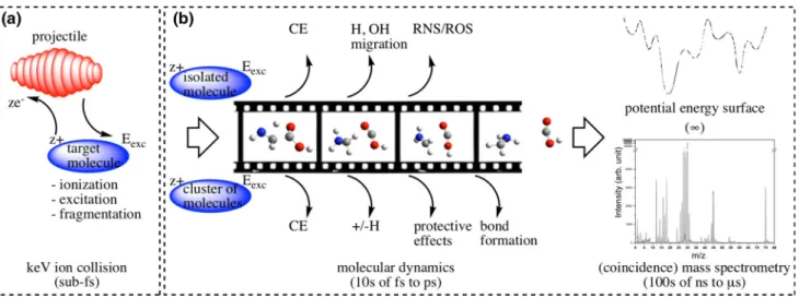 Fig. 7 Scheme of physical processes observed for both isolated and cluster of molecules in keV ion-target collisions