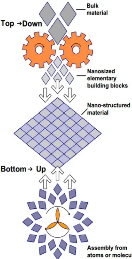 Figure  1  Illustration  of  the  top-down  and  bottom-up approaches. 