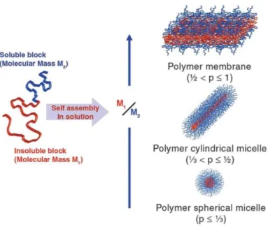 Figure 4 Different geometries formed by block copolymers in selective solvent conditions.