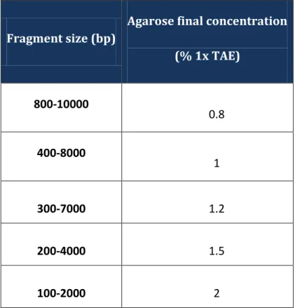 Table 3 Resolution for linear DNA in electrophoresis of different agarose gel concentrations.