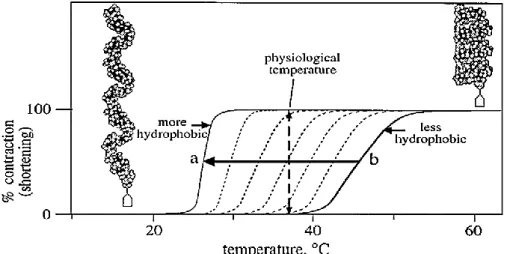 Fig. 2. Plot as a function of temperature of the contraction of ELRs of different hydrophobicities