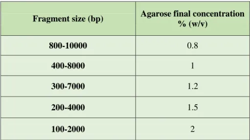 Table 3. Resolution in electrophoresis of different agarose gel concentrations. 