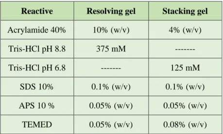 Table 5. Gel composition for SDS-PAGE. 