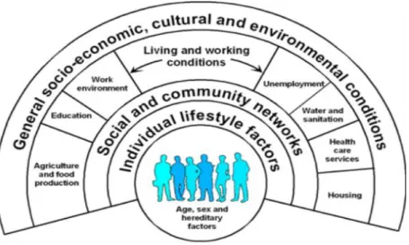 Figura 1. Condiciones socio - económicas, culturales y ambientales generales  
