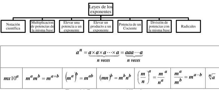 Figura 4.4: Estructura conceptual libro de texto