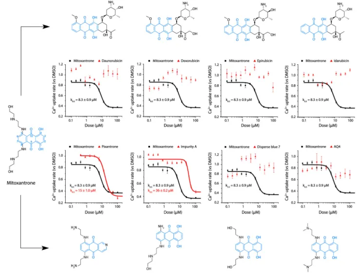 Figure 6. Structure-Activity Relationship Analysis of Mitoxantrone