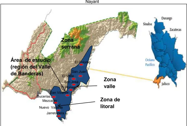 Fig. 2. Mapa del actual municipio de Bahía de Banderas,  Nayarit
