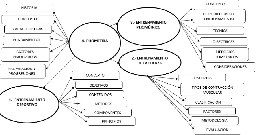 Figura Nº  3 Constelación de ideas de la Variable Independiente. 