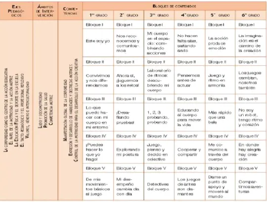 Figura 4. Mapa curricular del programa de educación física