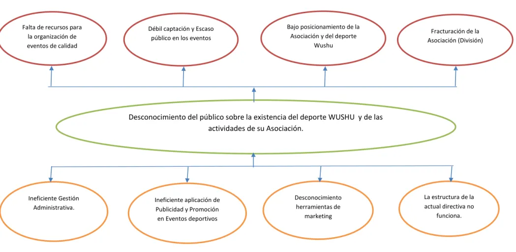 Gráfico 1  Árbol del Problema 