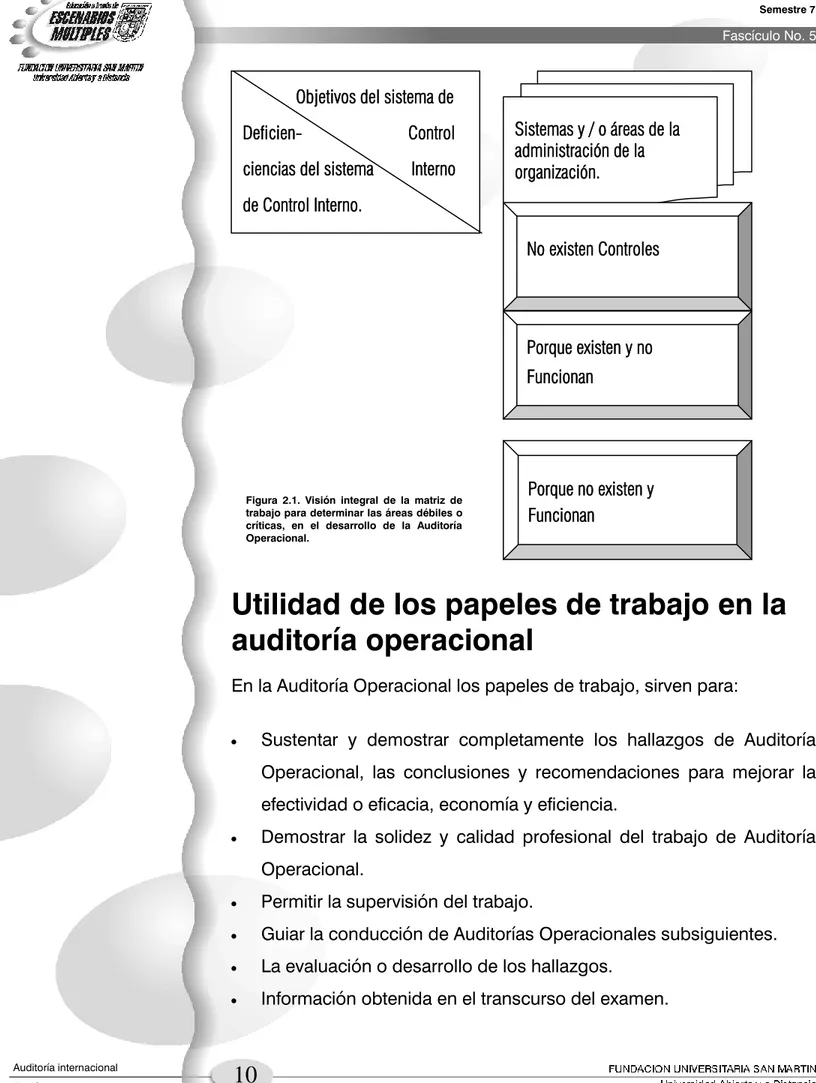 Figura  2.1.  Visión  integral  de  la  matriz  de  trabajo para determinar las áreas débiles o  críticas,  en  el  desarrollo  de  la  Auditoría  Operacional