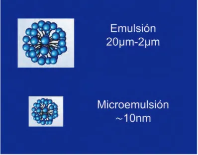 Figura 1.1 Tamaños característicos de los agregados de emulsiones y microemulsiones. 