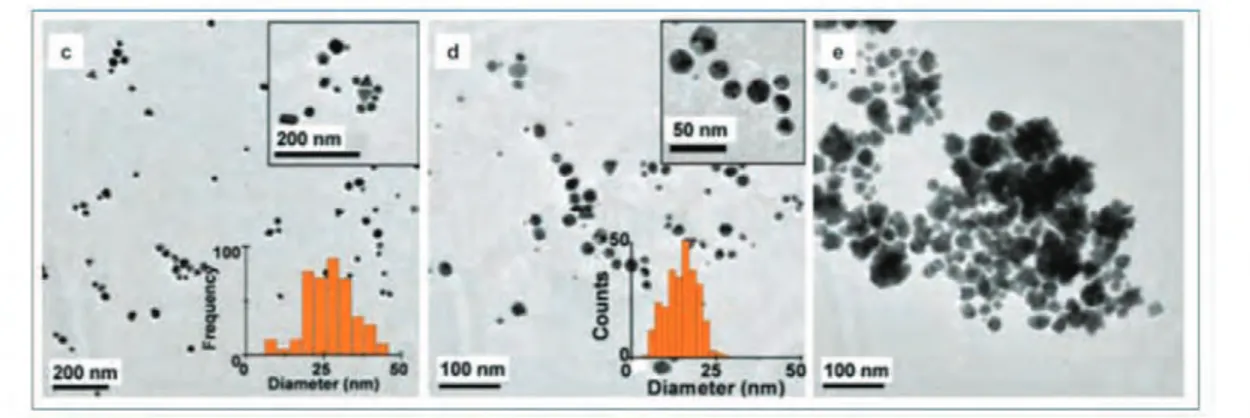 Figura 3.5 Imágenes de nanopartículas de oro obtenidas con un MET   con histogramas de la distribución de tamaños [85]