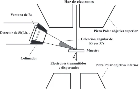 Figura 3.8 Arreglo del detector de EDS en el Microscopio  Electrónico de Transmisión [88]