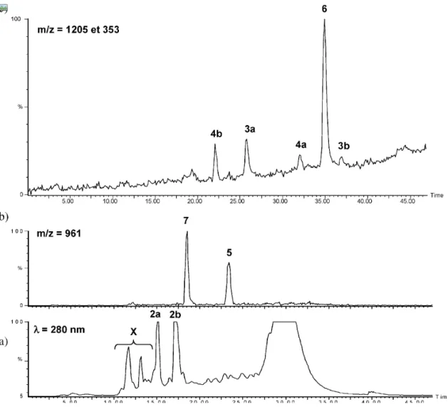 Fig. 6  perfil HPLC/MS de la fracción de elagitaninos  presentes en un vino tinto envejecido (a)  detección a 280 nm UV; (b) señal (m/z ) 961; (c) señal (m/z ) 1205-353 