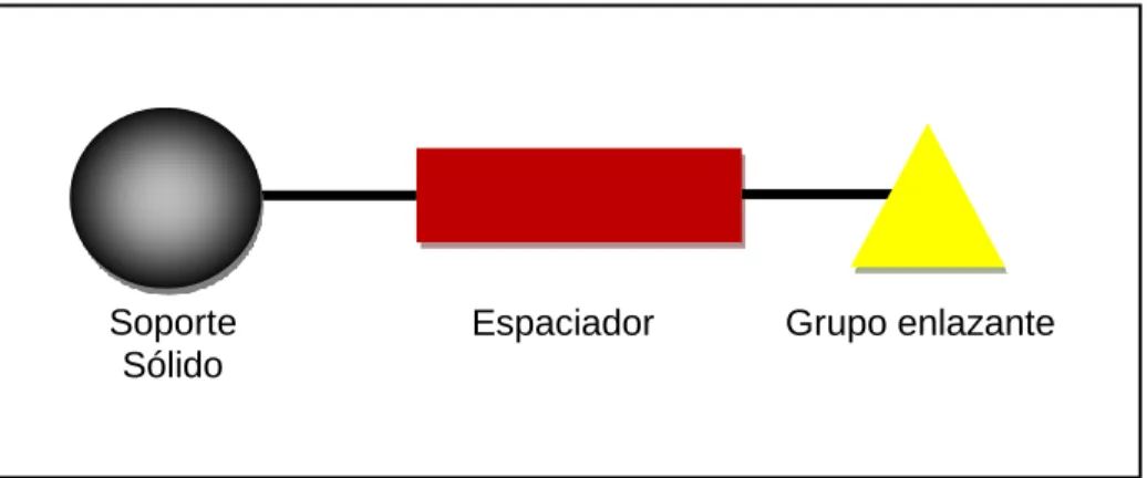 Figura 1. Esquema general de la SOFS. 