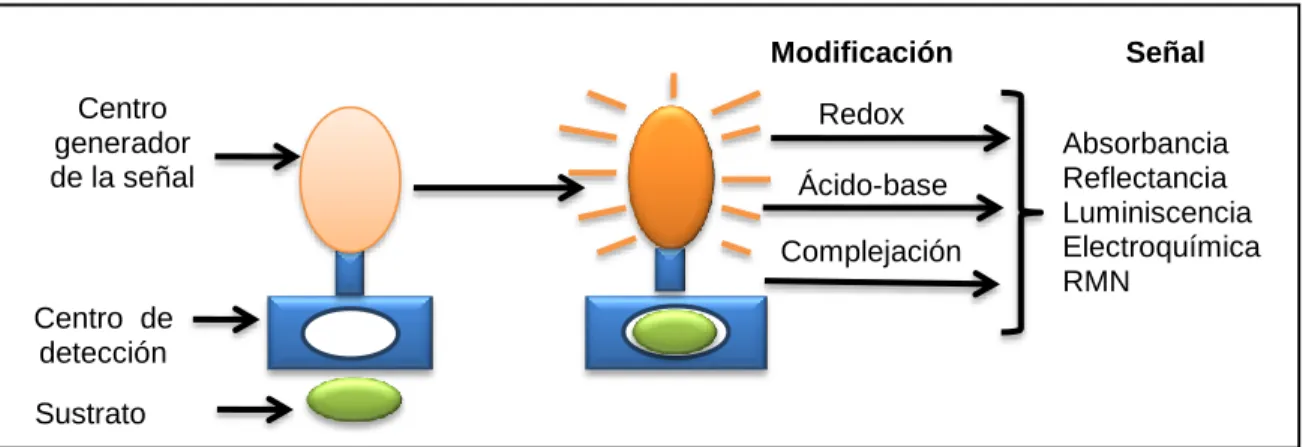 Figura 5. Esquema de un sensor (Santacruz y col, 2009). 